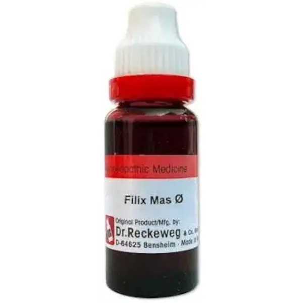 Dr. Reckeweg Filix Mas Mother Tincture Q